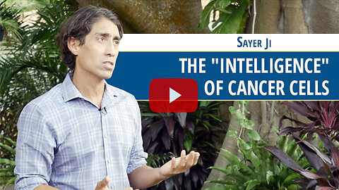 The “Intelligence” of Cancer Cells