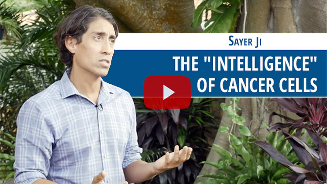 The “Intelligence” of Cancer Cells