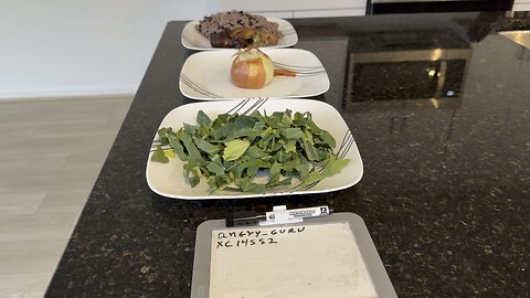 MEAL OF THE DAY DEDICATED