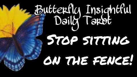 Butterfly Insightful Daily Tarot - stop sitting on the fence and make the right decision!