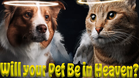 Will your pet be in heaven too?