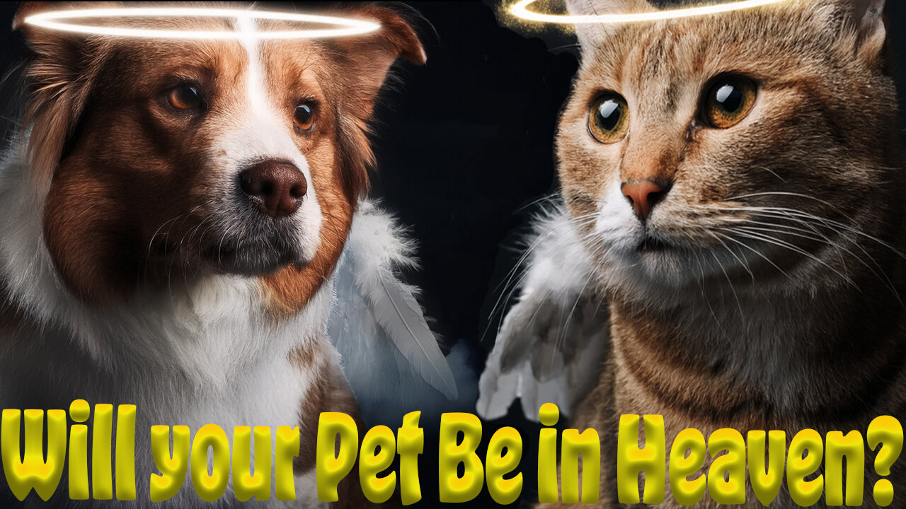 Will your pet be in heaven too?