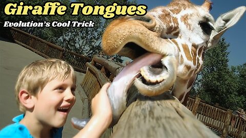 Why Do Giraffes Have Black Tongues? The Surprising Reason! | #animals #facts #viral