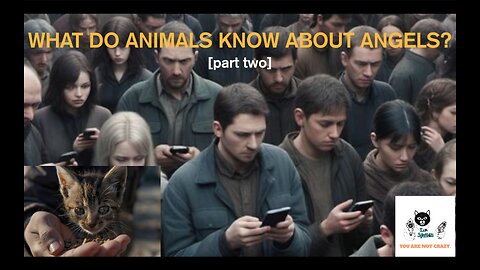 What do animals know about Angels? [part two]