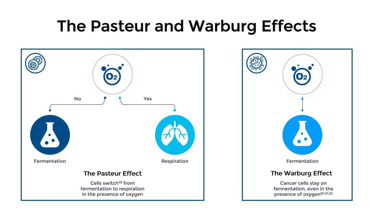 The Pasteur and Warburg Effects