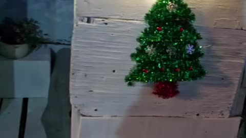 Dog's House Gets Christmas Decorations Too