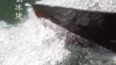 中国冰雕历史超三千年。唐代，据《开元天宝遗事》，杨国忠子弟会把冰雕成鸟兽、山峦，已有审美价值 。明清时冰灯兴起，辽宁、吉林等地春节有赏冰灯习俗，深受宫廷皇帝喜爱