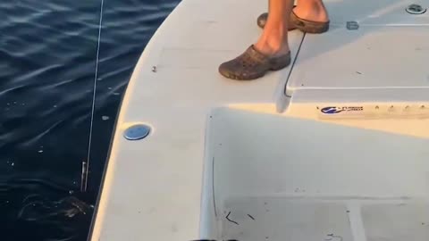 He Went Fishing… and Caught Something HUGE He Didn’t Expect