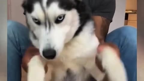 GABBLER TUESDAY 1/27/26