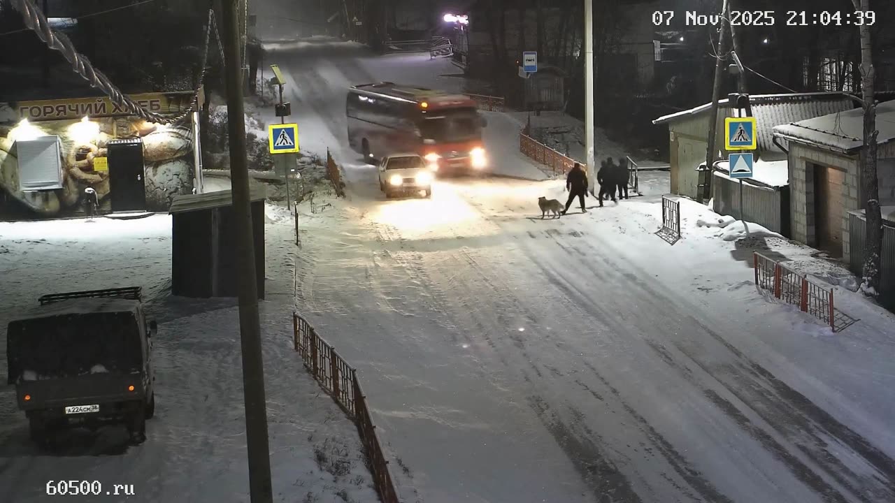 Shocking Road Moments 29🚗🚦😱🔥 (Russia Edition)