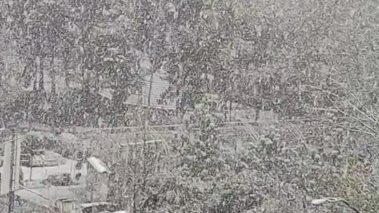 Snow