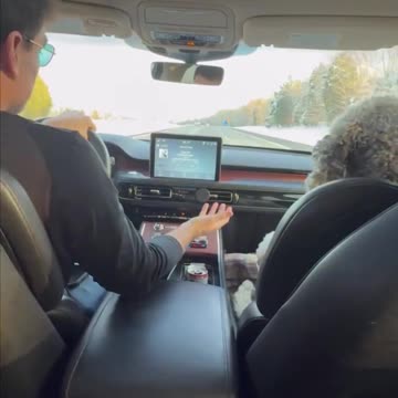 Going for a drive with my family