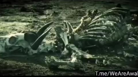 Resident Evil - The Final Chapter (Predictive Mind-Programming)