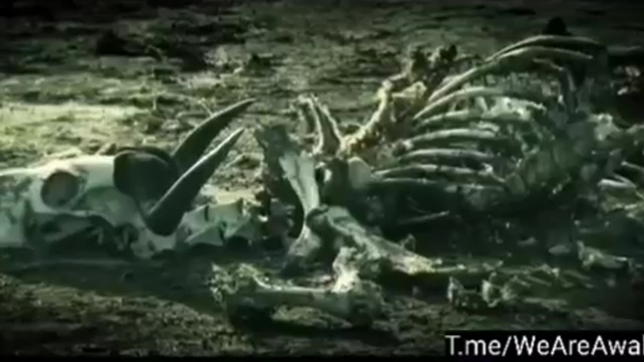 Resident Evil - The Final Chapter (Predictive Mind-Programming)