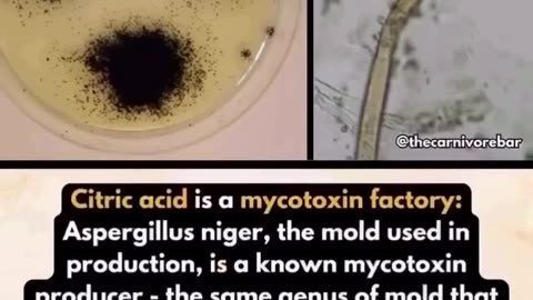 Pfizer pioneered 'citric acid' made from toxic black mold