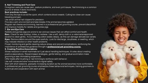 A Quick Guide to Grooming Rabbits and Guinea Pigs Without Causing Stress-The Pets Workshop