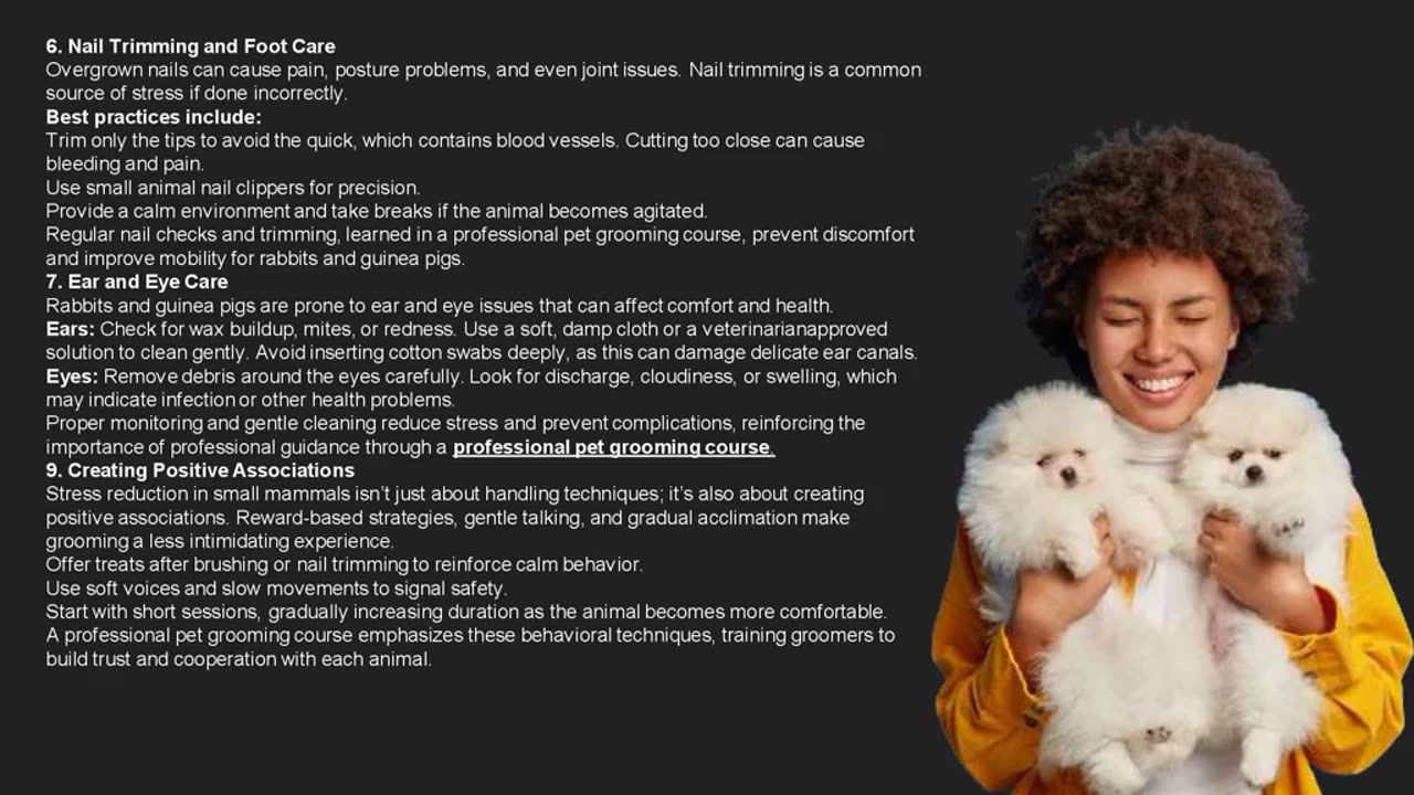 A Quick Guide to Grooming Rabbits and Guinea Pigs Without Causing Stress-The Pets Workshop