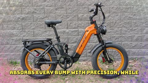 Cyrusher Kommoda 3.0 Adult Electric Bike 250W Motor 48V 20Ah Battery 20 Inch Fat Tire Electric Bike