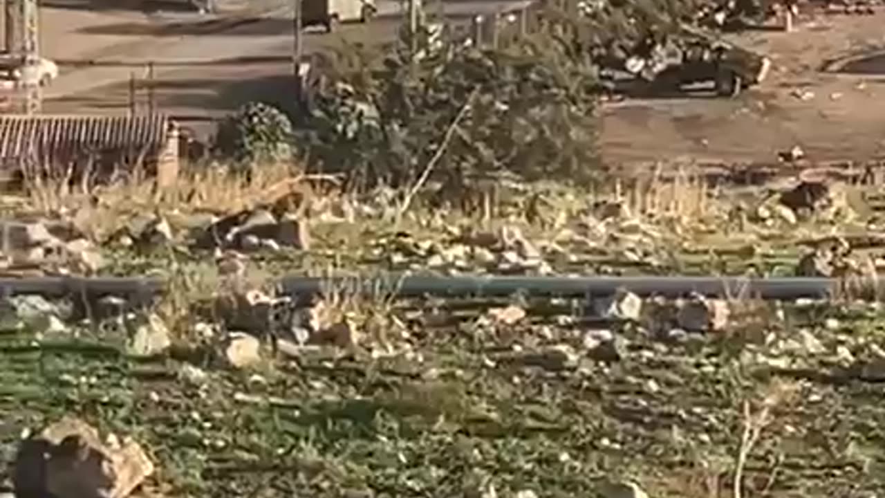 A wide-scale operation by the IDF and security forces started overnight in several arab towns