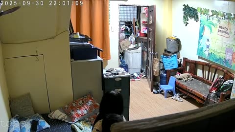 Babysitter Protects Boy During Cebu Earthquake