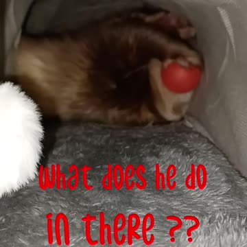 What do he do in there??