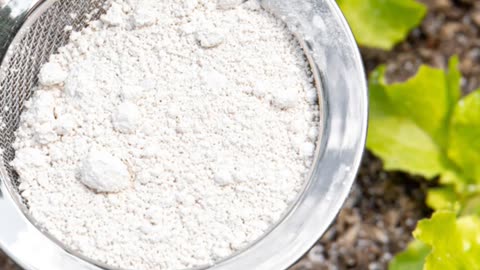 Gardeners Beware The Truth About Baking Soda Hacks!