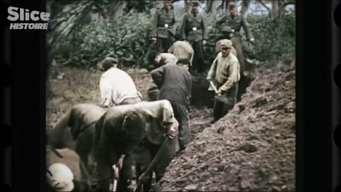 🧠✨ Former SS Soldier Reveals His Dark Past — Shocking Confession | FeedMyCuriosity