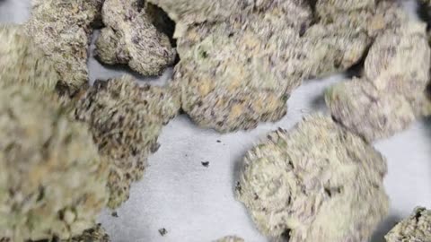 Blue Cookies THC-A Flower