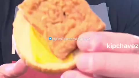 Fast Food That Never Ages: Proof We’re Eating Chemicals, Not Food...