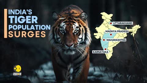 India Leads Global Tiger Protection Efforts