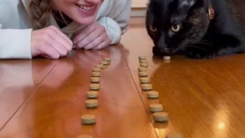 😺🍕 This Foodie Cat Took One Look at the Food… And the Reaction Was Priceless ✨