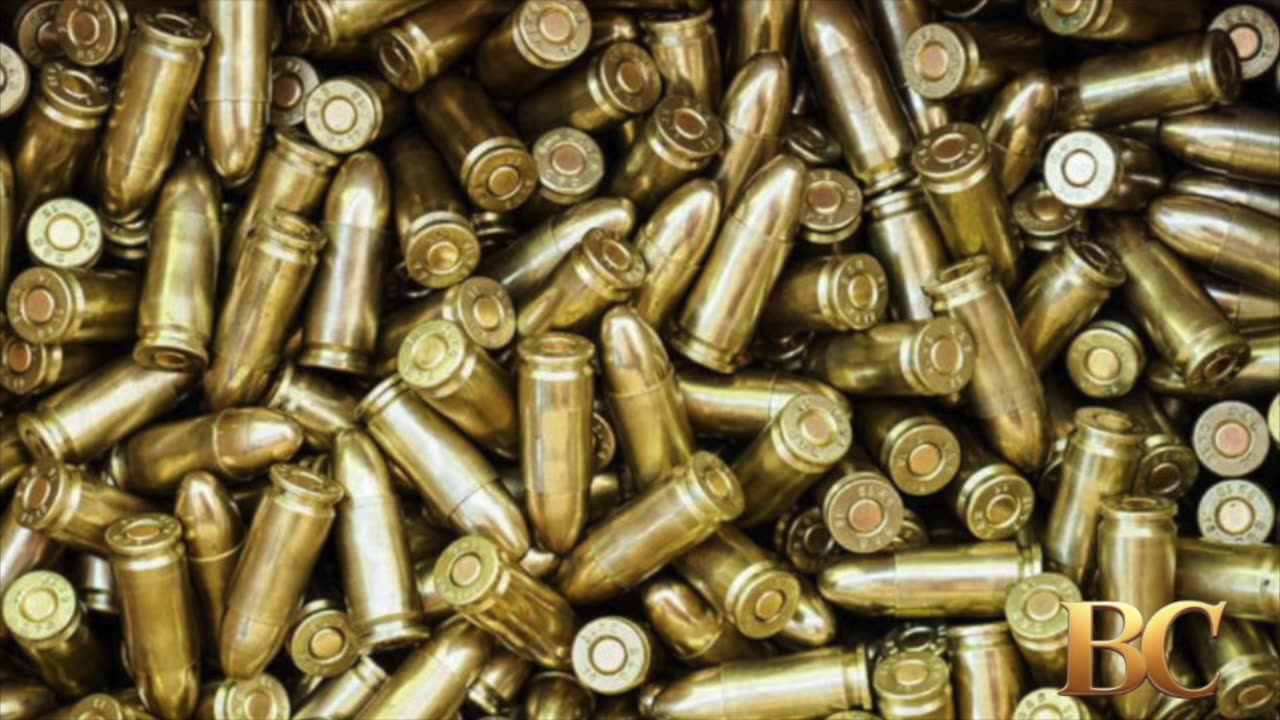 German military says thousands of rounds of ammunition were stolen from parked vehicle
