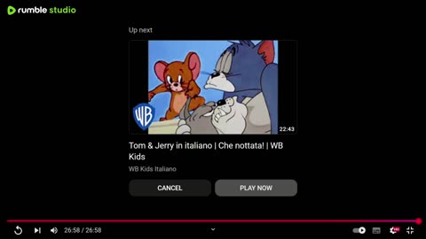 TOM AND JERRY,fun game