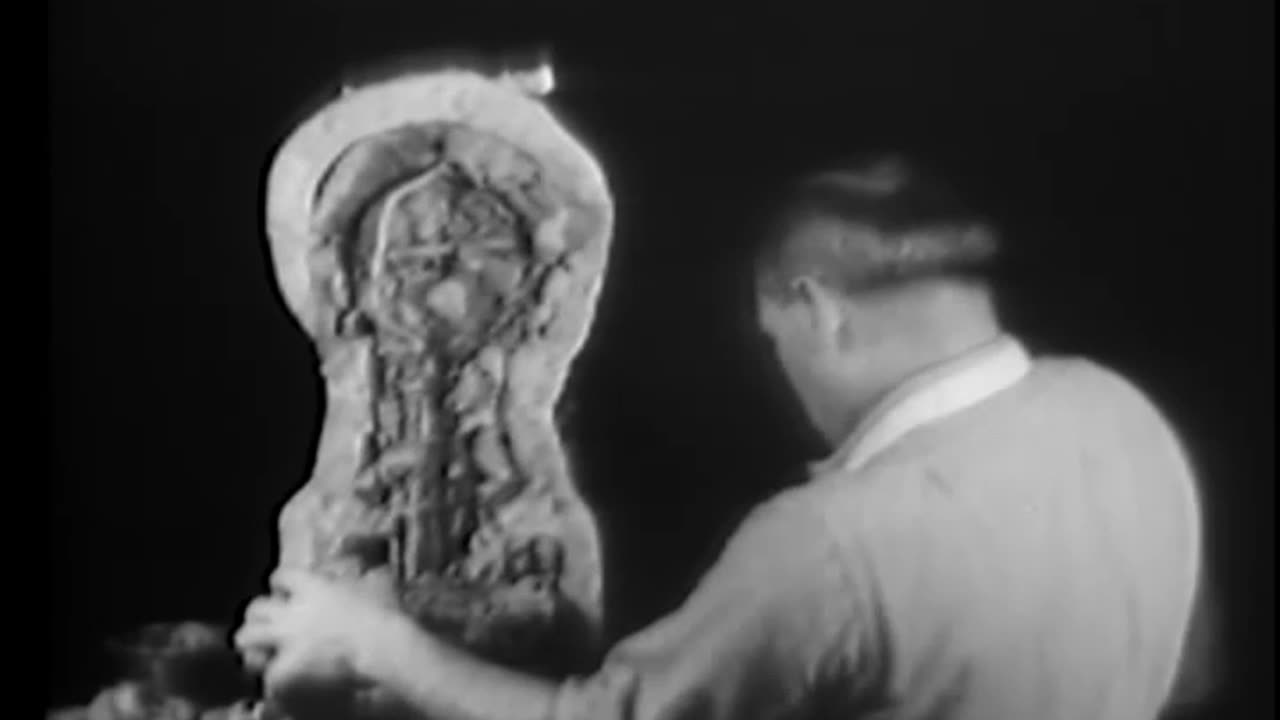 HOW TO MAKE A PLASTER OF PARIS CAST - HOW TO MAKE A PLASTER OF PARIS CAST - h-hf-253