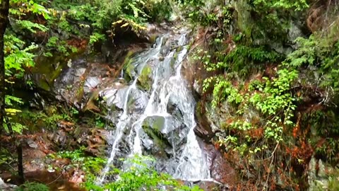 Bridal Veil Falls