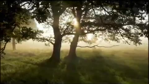 #2025 #music Zabranjena ljubav #song #love #balada #cover #lovesong ##novoOFFICIEL