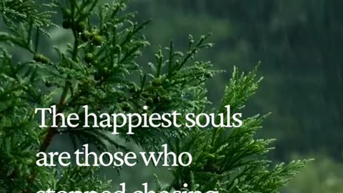 The Happiest Souls Don’t Seek Perfection — They Seek Peace