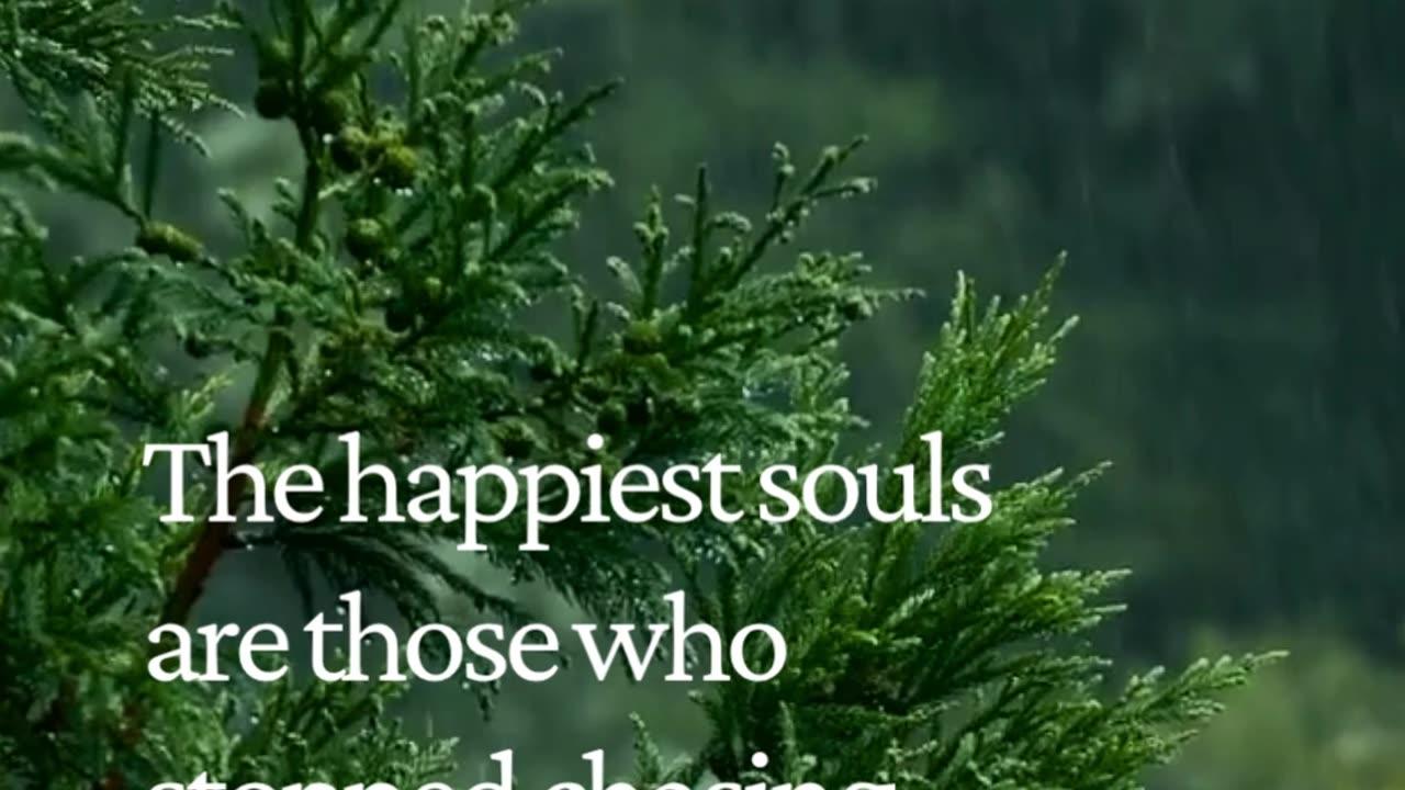 The Happiest Souls Don’t Seek Perfection — They Seek Peace