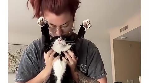 Cute Cat Stretching Fun! Watch, Subscribe & Like for More Adorable Moments