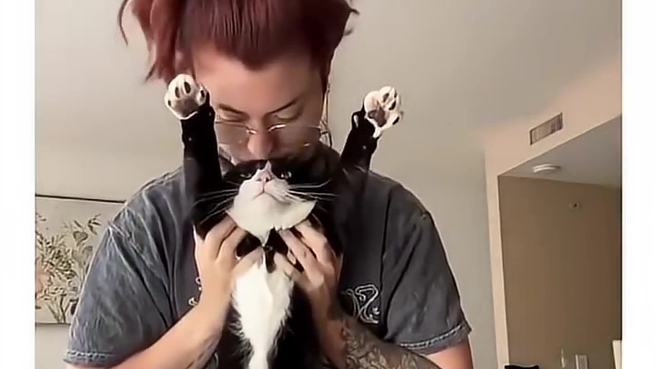 Cute Cat Stretching Fun! Watch, Subscribe & Like for More Adorable Moments