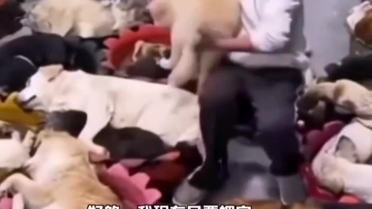 😂😴 You Won't Believe What Happens Next! | FunFM