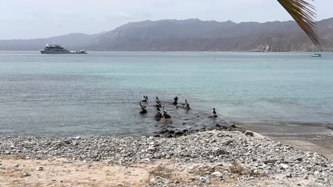 El Secreto de Masaru Emoto Cristales de Agua, Emociones ES