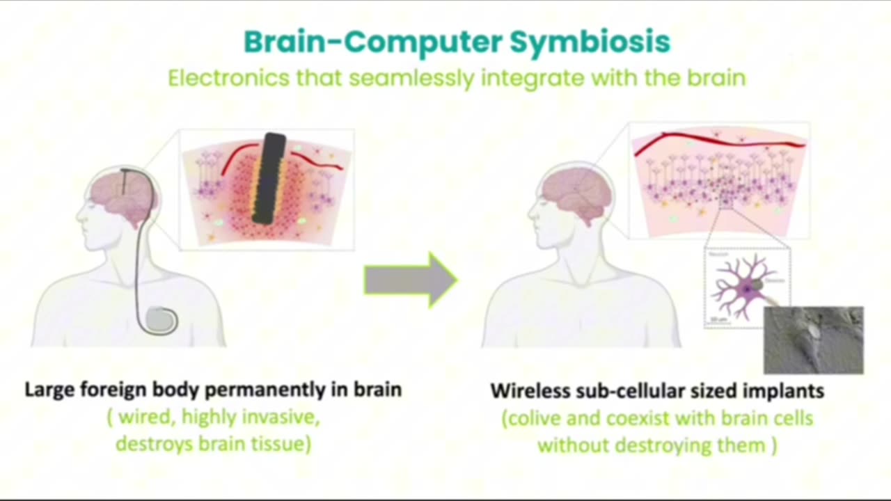 Bio-Roboter nur durch eine Injektion (siehe 👇)