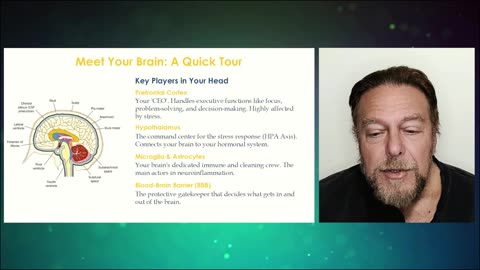 🔥Brain On FIRE - Reversing Neuroinflammation🔥𖡎