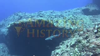 The First Submarine Had Windows—And Immediately Sank #hiddenhistory #techfail