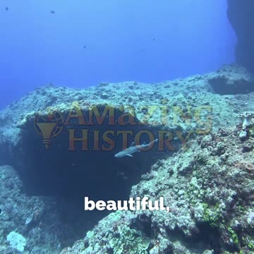 The First Submarine Had Windows—And Immediately Sank #hiddenhistory #techfail