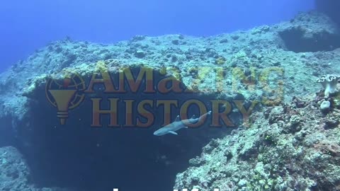 The First Submarine Had Windows—And Immediately Sank #hiddenhistory #techfail