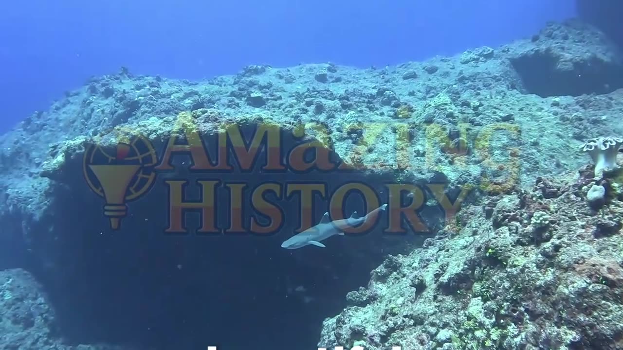 The First Submarine Had Windows—And Immediately Sank #hiddenhistory #techfail