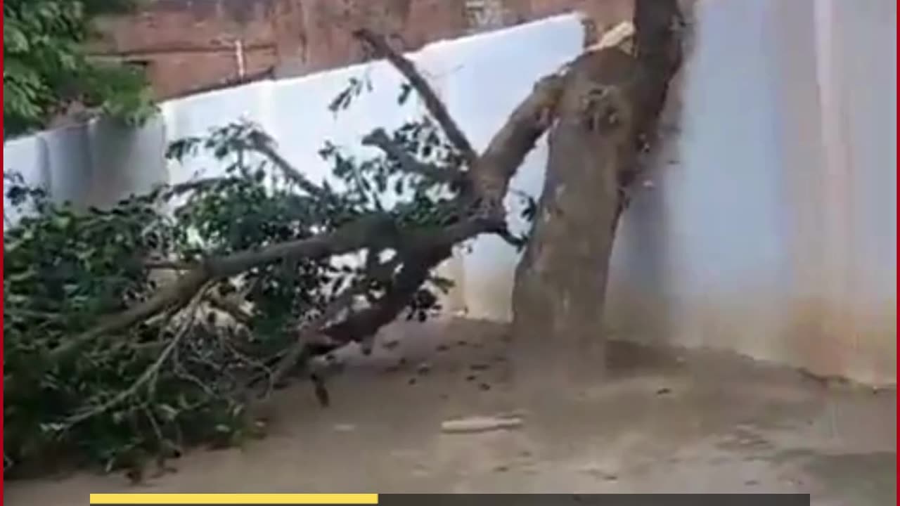 UP Cop’s Fury Over Tree Dispute: Drags Boy for Filming Police Action in Jaunpur!