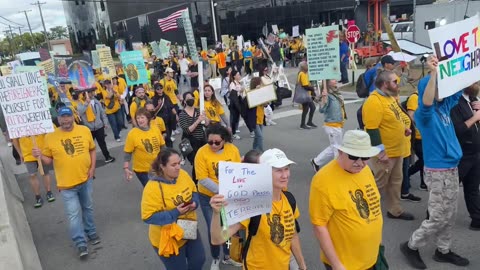 Catholic church in Maywood IL blesses